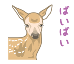 Rial Zoo sticker #9244427