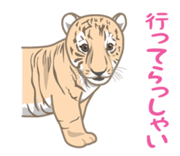 Rial Zoo sticker #9244428