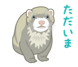 Rial Zoo sticker #9244429