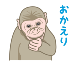 Rial Zoo sticker #9244430