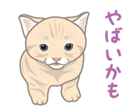 Rial Zoo sticker #9244432