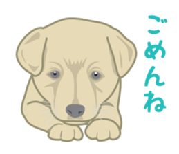 Rial Zoo sticker #9244434