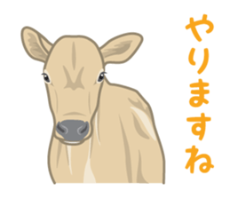 Rial Zoo sticker #9244435