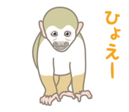 Rial Zoo sticker #9244437