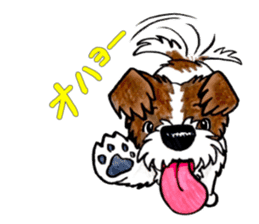 Jack Russell Terrier Sticker sticker #9248968