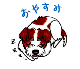 Jack Russell Terrier Sticker sticker #9248969