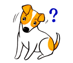 Jack Russell Terrier Sticker sticker #9248972