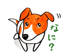Jack Russell Terrier Sticker sticker #9248973