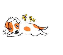 Jack Russell Terrier Sticker sticker #9248974