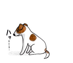 Jack Russell Terrier Sticker sticker #9248975