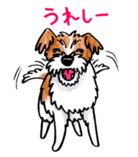 Jack Russell Terrier Sticker sticker #9248981
