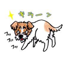 Jack Russell Terrier Sticker sticker #9248983