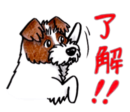 Jack Russell Terrier Sticker sticker #9248987