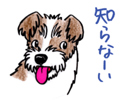 Jack Russell Terrier Sticker sticker #9248989