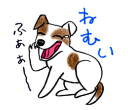 Jack Russell Terrier Sticker sticker #9248996