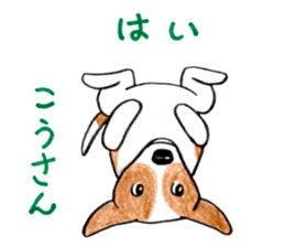 Jack Russell Terrier Sticker sticker #9248999