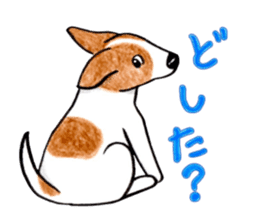 Jack Russell Terrier Sticker sticker #9249001