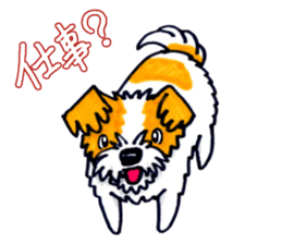 Jack Russell Terrier Sticker sticker #9249004