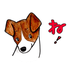 Jack Russell Terrier Sticker sticker #9249006