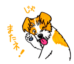 Jack Russell Terrier Sticker sticker #9249007