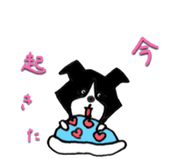 Everyday BODAKO sticker #9249169