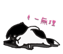 Everyday BODAKO sticker #9249174