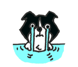 Everyday BODAKO sticker #9249175