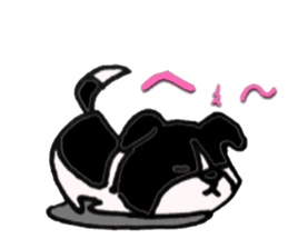 Everyday BODAKO sticker #9249176