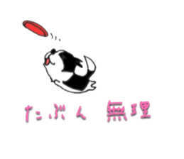 Everyday BODAKO sticker #9249179