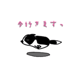 Everyday BODAKO sticker #9249185