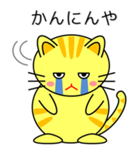 Cat in Kansai region of Japan sticker #9249564