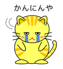 Cat in Kansai region of Japan sticker #9249564