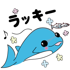 Dolphin Koo-chan<everyday conversation2>