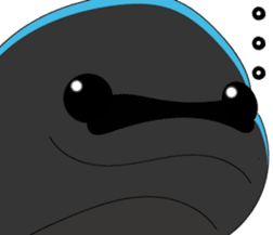 Dolphin Koo-chan<everyday conversation2> sticker #9250370