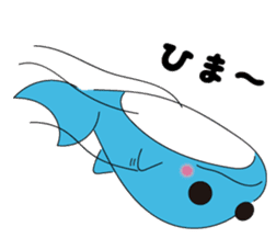 Dolphin Koo-chan<everyday conversation2> sticker #9250398
