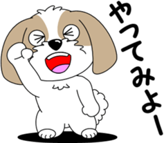 Positive Shih Tzu sticker #9254203