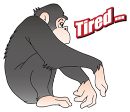 The Monkey Paradise sticker #9255546