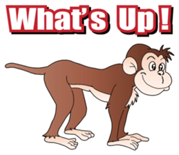 The Monkey Paradise sticker #9255562