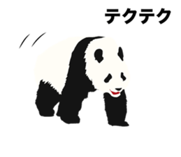 50%off Panda sticker #9259140