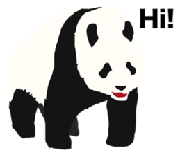 50%off Panda sticker #9259141