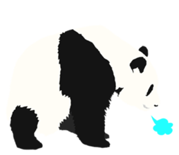50%off Panda sticker #9259151