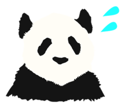 50%off Panda sticker #9259163