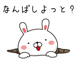 Kyushu valve and Hakata valve rabbit sticker #9260083