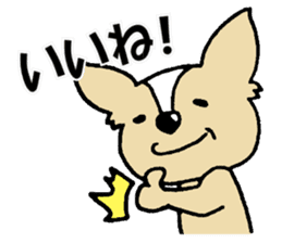 Small eyes of Chihuahua sticker #9260576