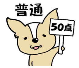 Small eyes of Chihuahua sticker #9260586