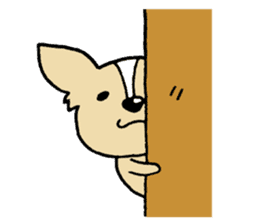 Small eyes of Chihuahua sticker #9260590