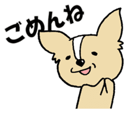 Small eyes of Chihuahua sticker #9260597