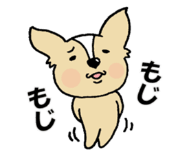 Small eyes of Chihuahua sticker #9260604