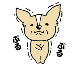 Small eyes of Chihuahua sticker #9260611