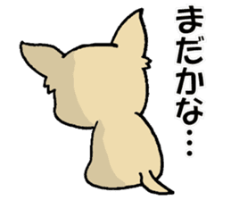 Small eyes of Chihuahua sticker #9260612
